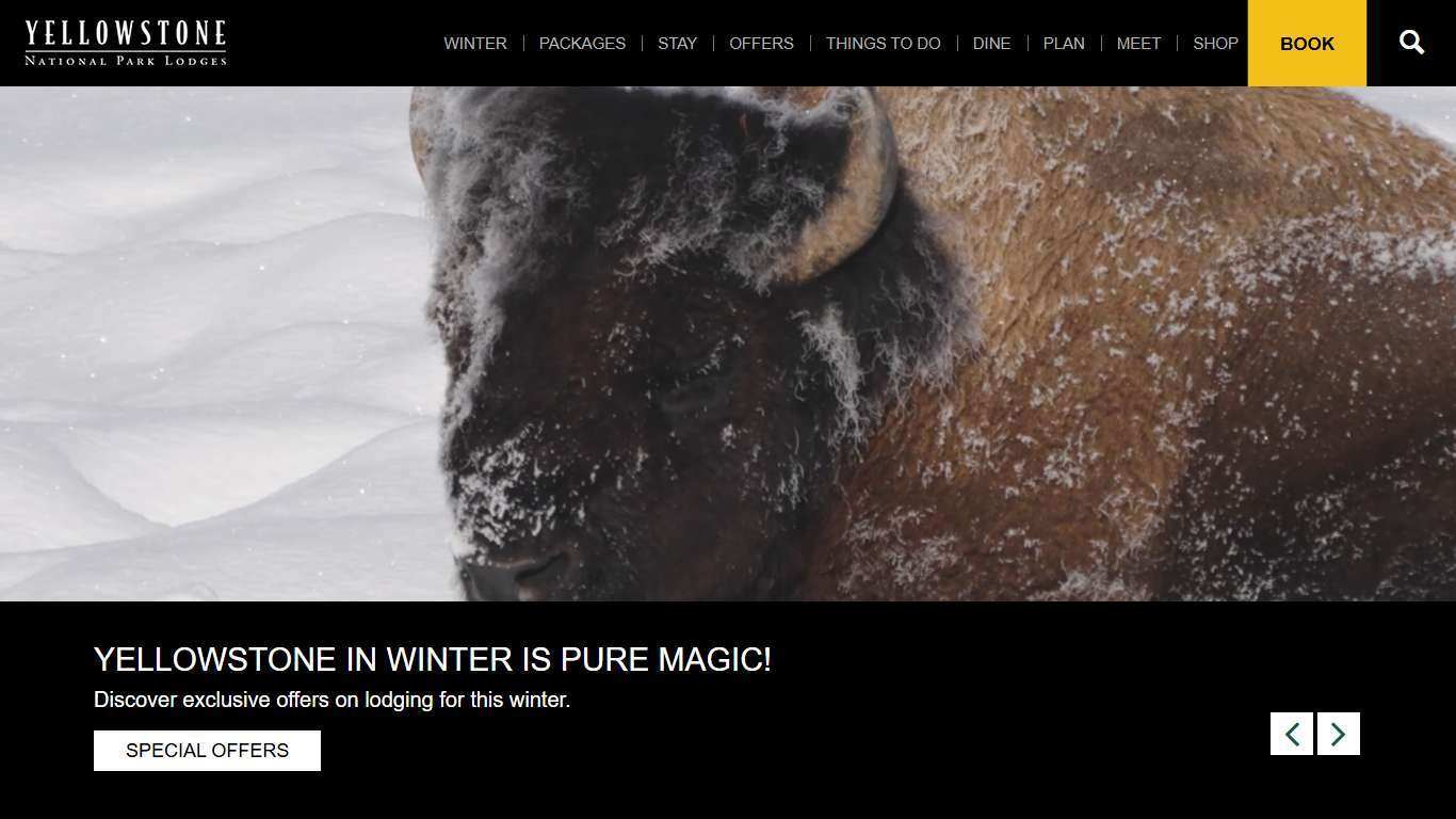 Lodging in Yellowstone | Yellowstone National Park Lodges